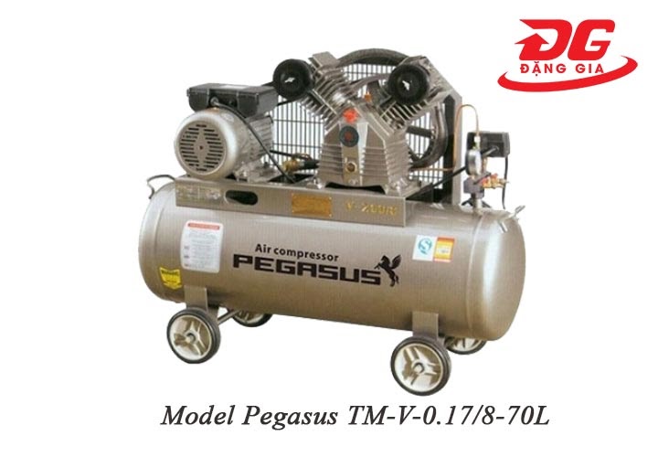 Hình ảnh model Pegasus TM-V-0.17/8-70L