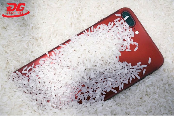 Hút ẩm điện thoại bằng gạo