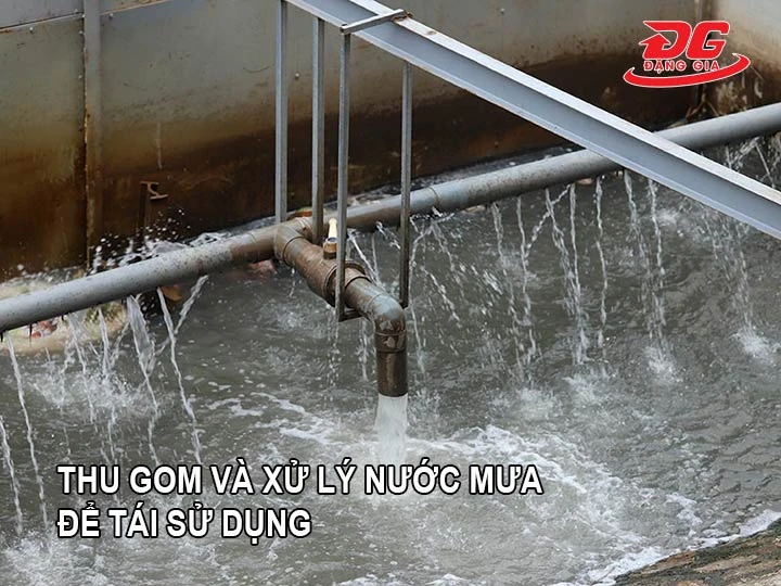 Thu gom và xử lý nước mưa