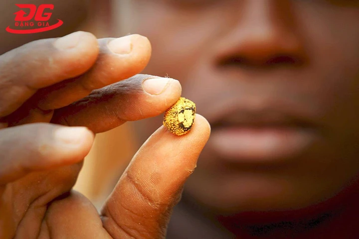 “Giống vàng” có bề mặt sần sùi thì vị trí mỏ vàng đang ở rất gần