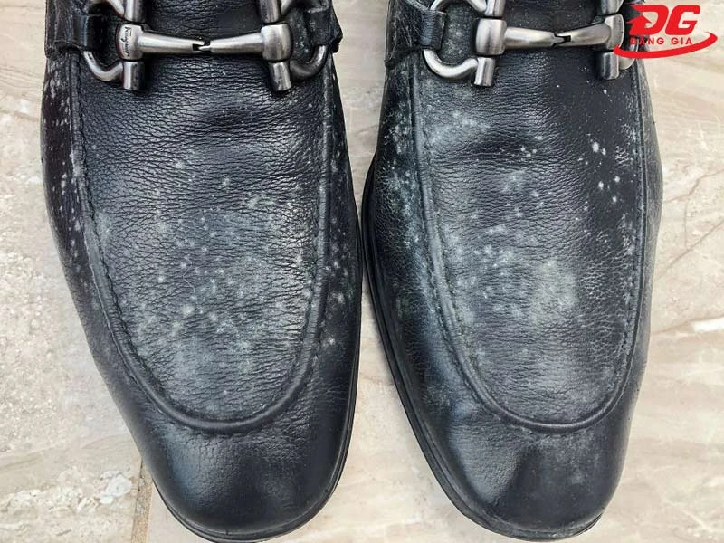 Thời tiết ẩm ướt khiến giày bị mốc