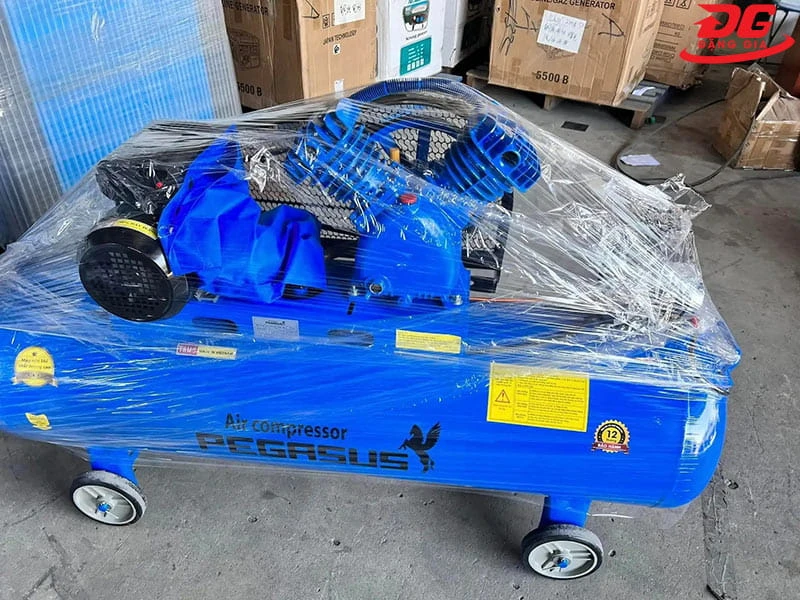 Máy khí nén piston Pegasus TM-V-0.17/8-180L