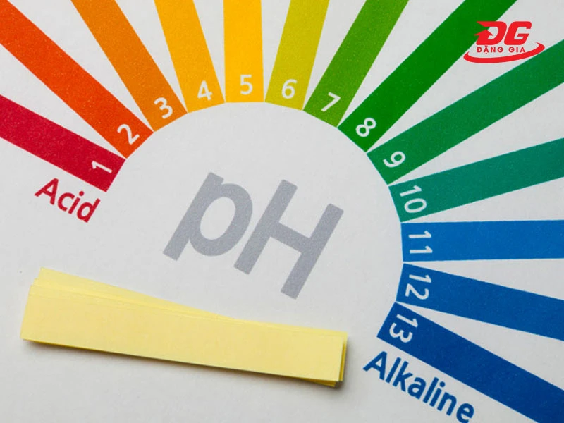 Độ pH cân bằng từ 6.5 - 9