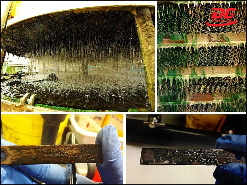 Rong rêu, vi khuẩn phát sinh hình thành các màng nhầy sinh học trong tháp