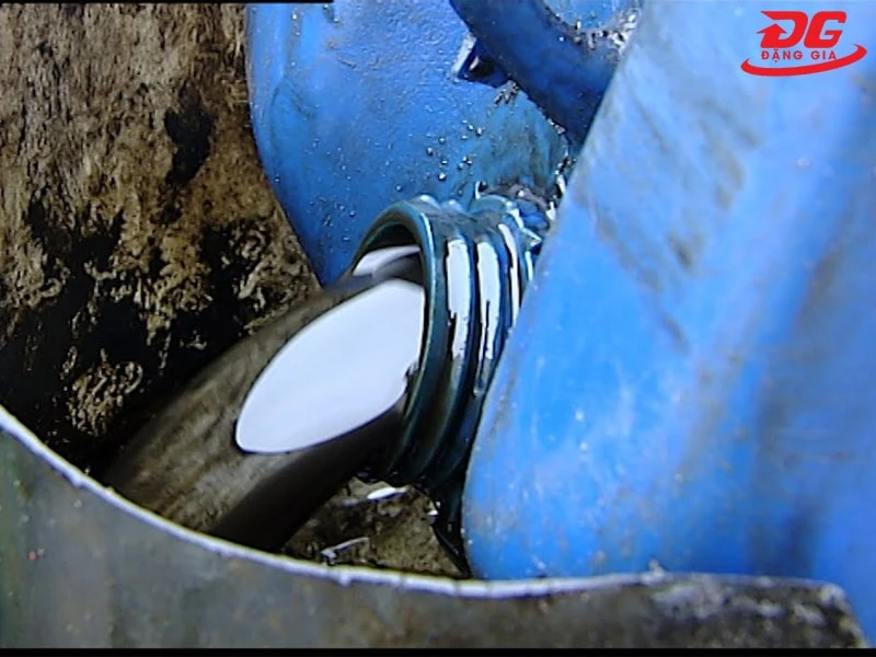 Nhớt thải gây hại cho môi trường và sức khỏe con người