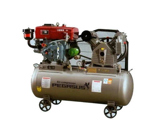 Máy nén khí chạy dầu Pegasus TM-W-2.0/8-500L 3
