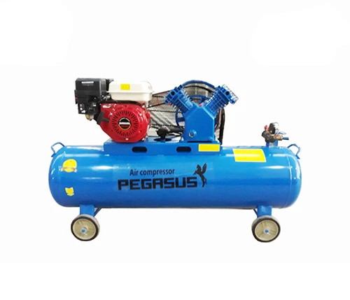 Máy nén khí đầu nổ chạy xăng Pegasus TM-V-0.25/8-100L 3
