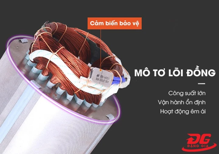 Mô tơ Pegasus TM-V-0.25/8-180L 