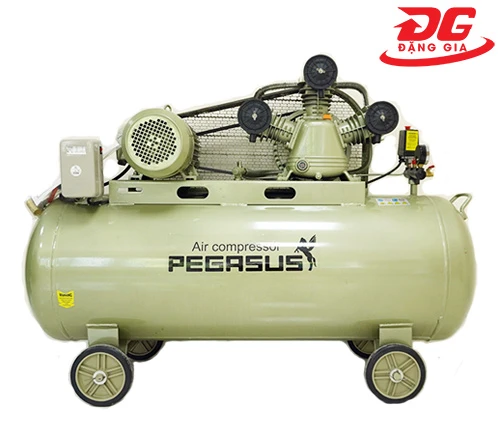 Máy nén khí Pegasus TM-V-0.36/8-230L 1