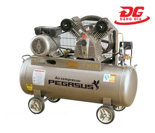 Máy nén khí Pegasus TM-W-1.6/10-500L 1
