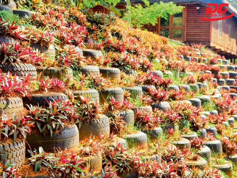 Hàng rào bằng lốp xe kết hợp trồng cây cảnh 