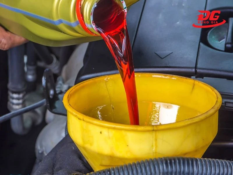 Cách lưu ý khi mua và sử dụng