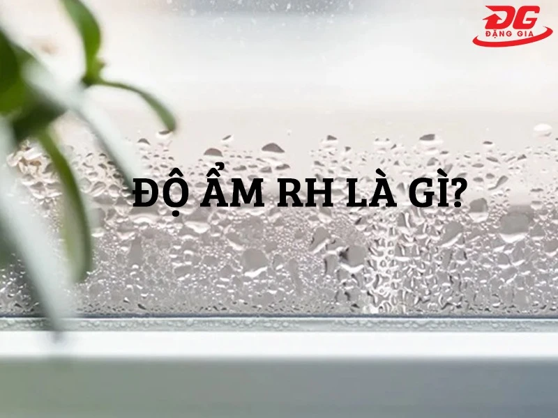 Độ ẩm RH là gì ? Đơn vị, ký hiệu và ý nghĩa độ ẩm RH