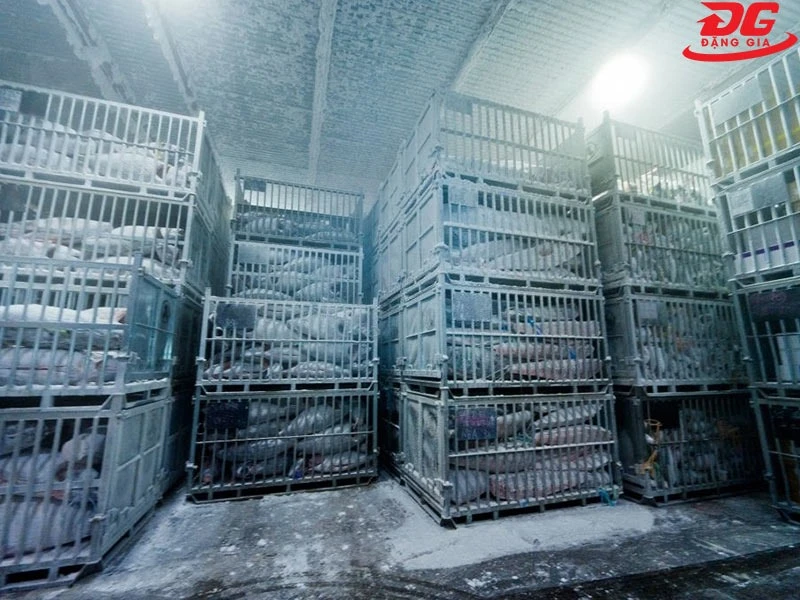 Kho đông bảo quản thịt, cá đông lạnh