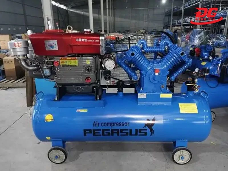 Hình ảnh model Pegasus TM-V-1.05/12.5-330L