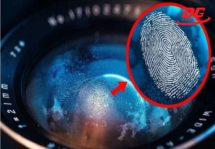 Dấu tay cũng là điều kiện giúp mốc, rễ tre phát triển