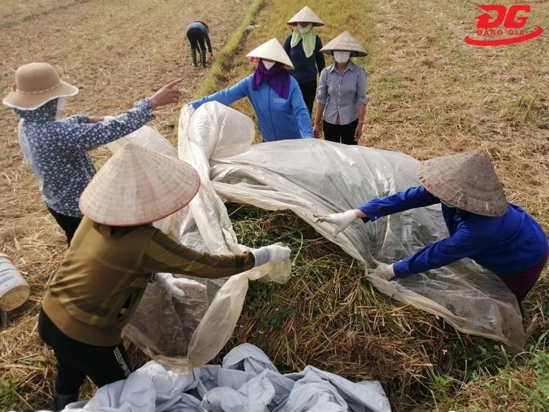 chất thải hữu cơ