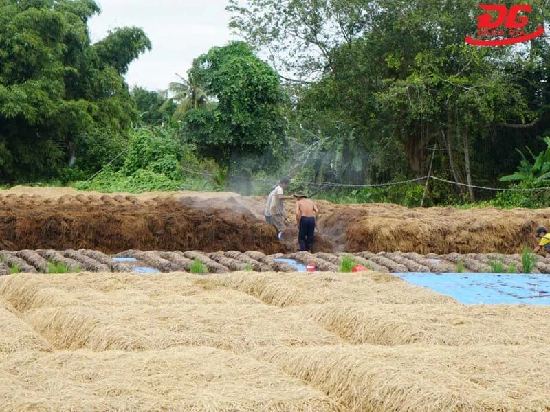 rác hữu cơ gồm những loại nào