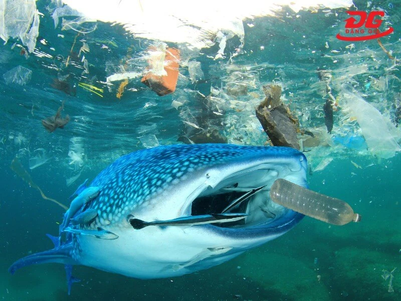 hình ảnh rác vô cơ