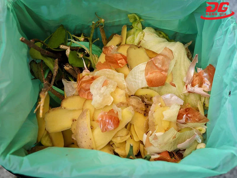 rác hữu cơ và rác vô cơ