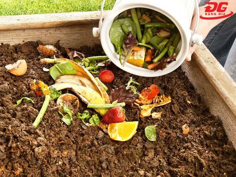 rác hữu cơ là gì