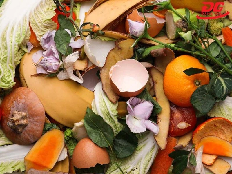 rác thải hữu cơ là gì