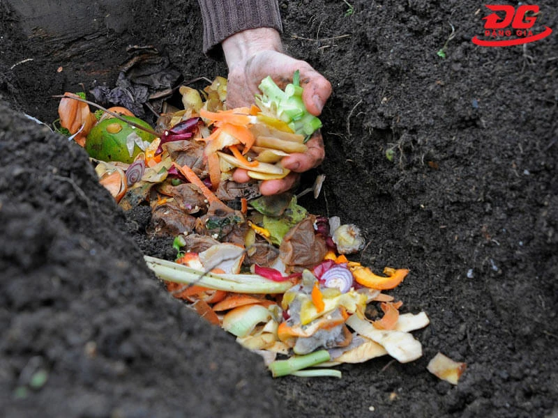 rác hữu cơ gồm những gì