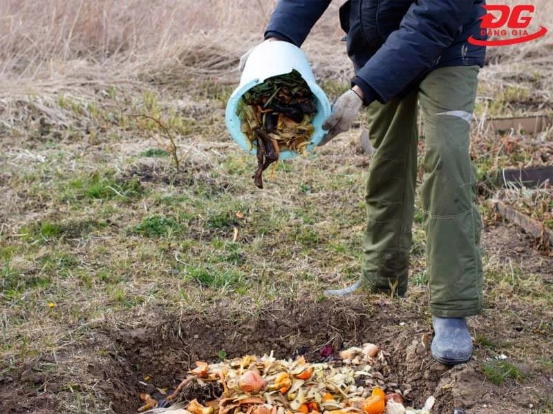 rác thải hữu cơ