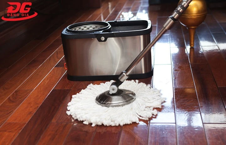 cây lau nhà tanaka