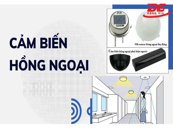 Thiết kế và độ bền