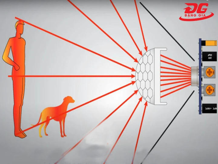 Cảm biến hồng ngoại phát hiện người