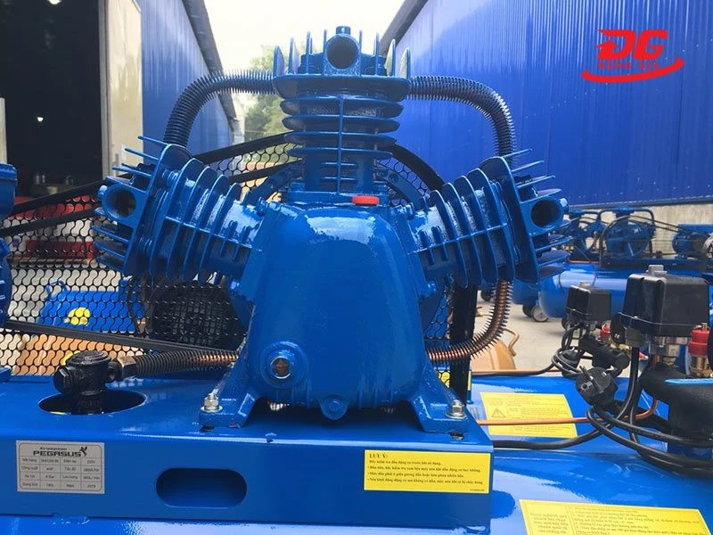 Đầu nén máy bơm hơi Pegasus TM-W-0.36/8-180L