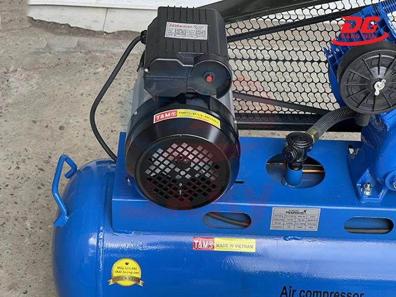 Động cơ máy nén khí piston Pegasus TM-V-0.12/8-70L