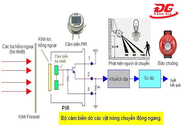 Phạm vi phát hiện