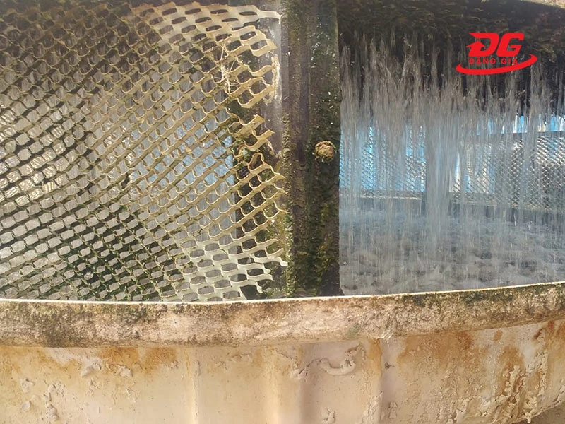 Thay mới tấm lưới xám khi bị rách, rỉ sét hoặc biến dạng