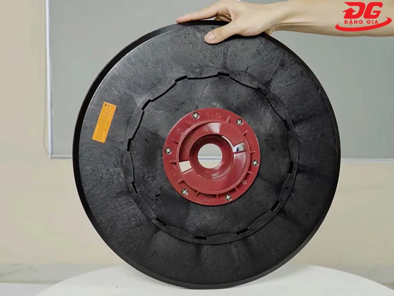 Mặt sau của mâm gai