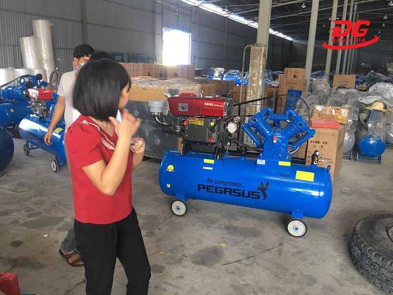 Máy nén khí đầu nổ Pegasus TM-V-1.05/12.5-330L