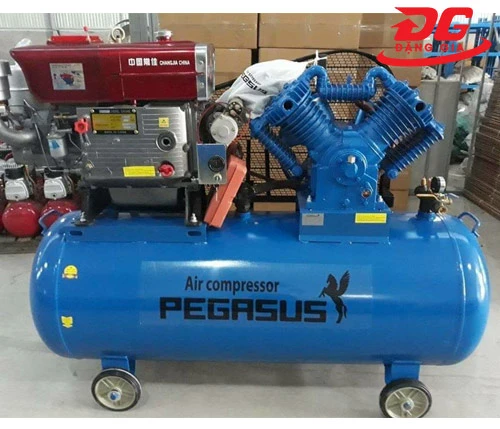 Máy nén khí chạy dầu Pegasus TM-V-1.05/12.5 - 500L 3