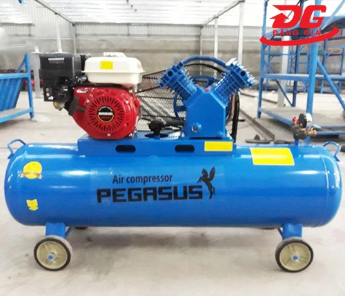 máy nén khí chạy xăng Pegasus TM-V-0.25/8-100L
