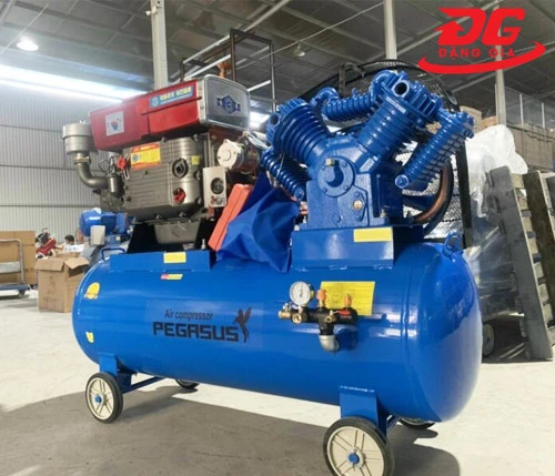 máy nén khí đầu nổ chạy dầu diesel Pegasus TM-W-1.0/8-300L