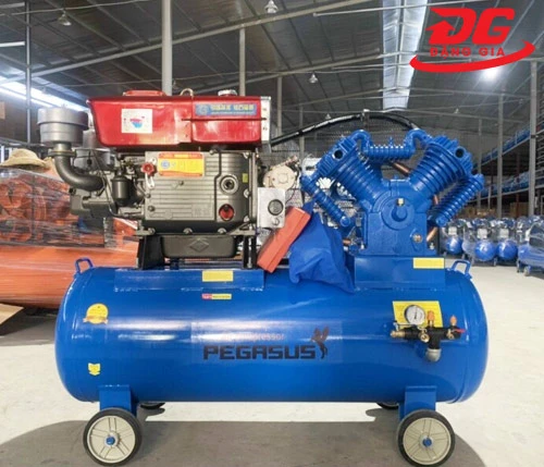 máy nén khí đầu nổ công nghiệp Pegasus TM-W-1.0/8-300L
