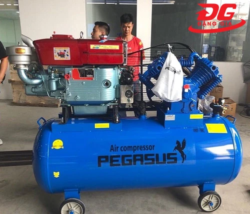 máy nén khí đầu nổ công nghiệp Pegasus TM-W-1.0/8-500L