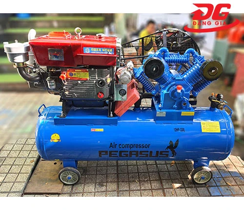 máy nén khí đầu nổ Pegasus TM-V/12.5 - 300L