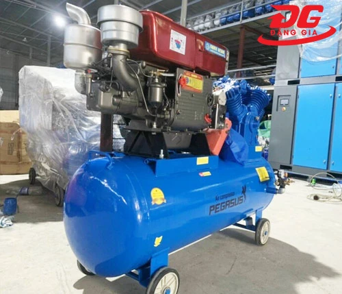 máy nén khí đầu nổ Pegasus TM-W-1.0/8-300L