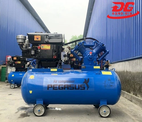 Một số ưu điểm của máy nén khí công nghiệp chạy dầu Pegasus TM-W-1.0/8-500L