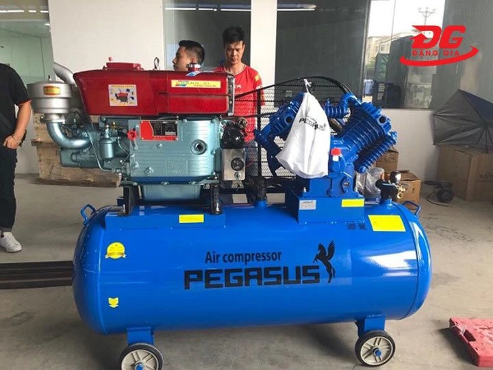 Máy nén khí công nghiệp đầu nổ Pegasus TM-W-1.0/8-500L chạy dầu