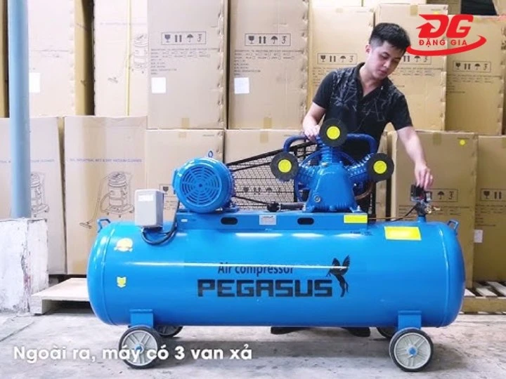 giá Máy nén khí Pegasus