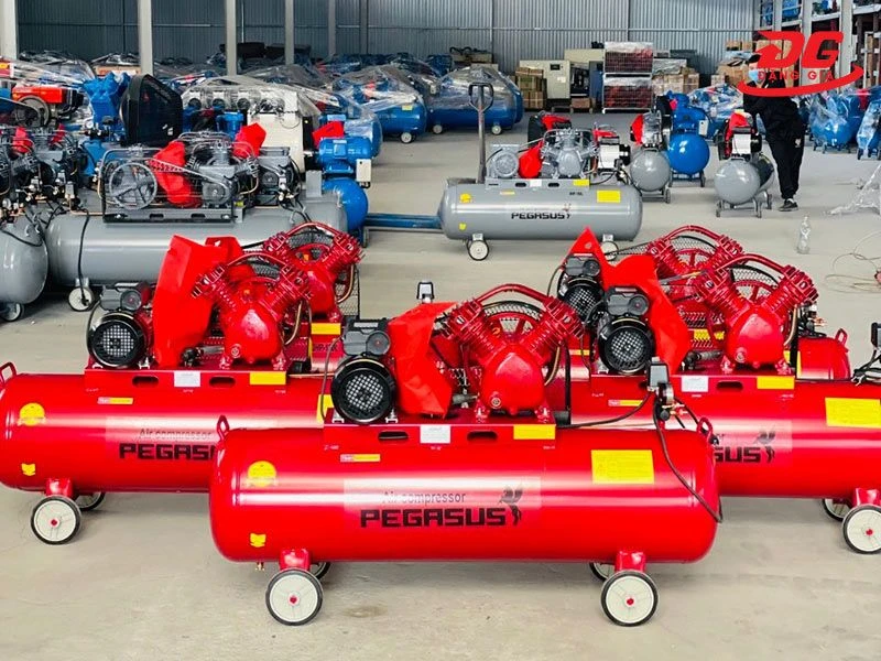 Máy nén khí Pegasus TM-V-0.17/8-70L màu đỏ