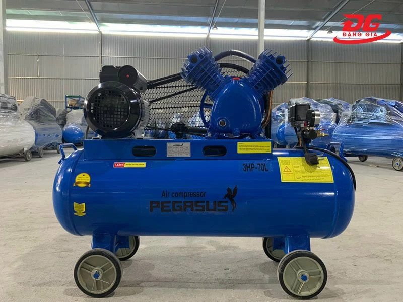 Máy bơm hơi Pegasus TM-V-0.25/8-70L