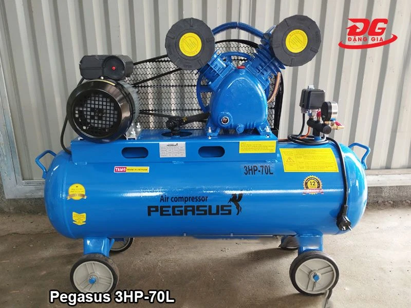 Mua máy bơm hơi Pegasus TM-V-0.25/8-70L chính hãng tại Đặng Gia